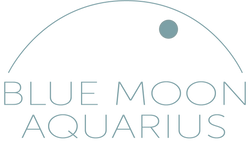 blue moon aquarius