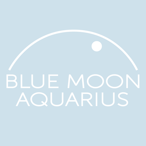 Blue Moon Aquarius Gift Card